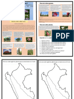 Ficha - Ciencia.la Flora Del Perú.07-08-23.