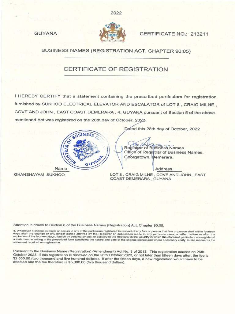 Business Registration | PDF
