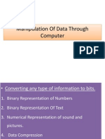 Manipulation of Data Through Computer