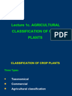 LECTURE 1c - Agrl Classification of Crop Plants