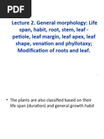 Lecture 2 General Plant Morphology 14.8.12