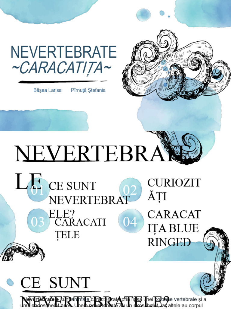 Proiect Nevertebrate | PDF