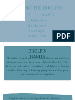 The repoRT The Dholpin - 20230824 - 055719 - 0000