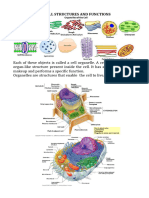 Gen Bio 2