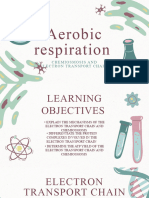 Aerobic Respiration: Chemiosmosis and Electron Transport Chain