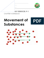 Movement-of-Substances Practice Paper