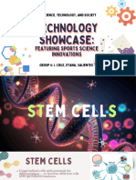 Group4 Stem Cells