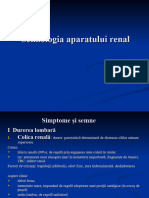 Semiologie Renal 05.04.2011