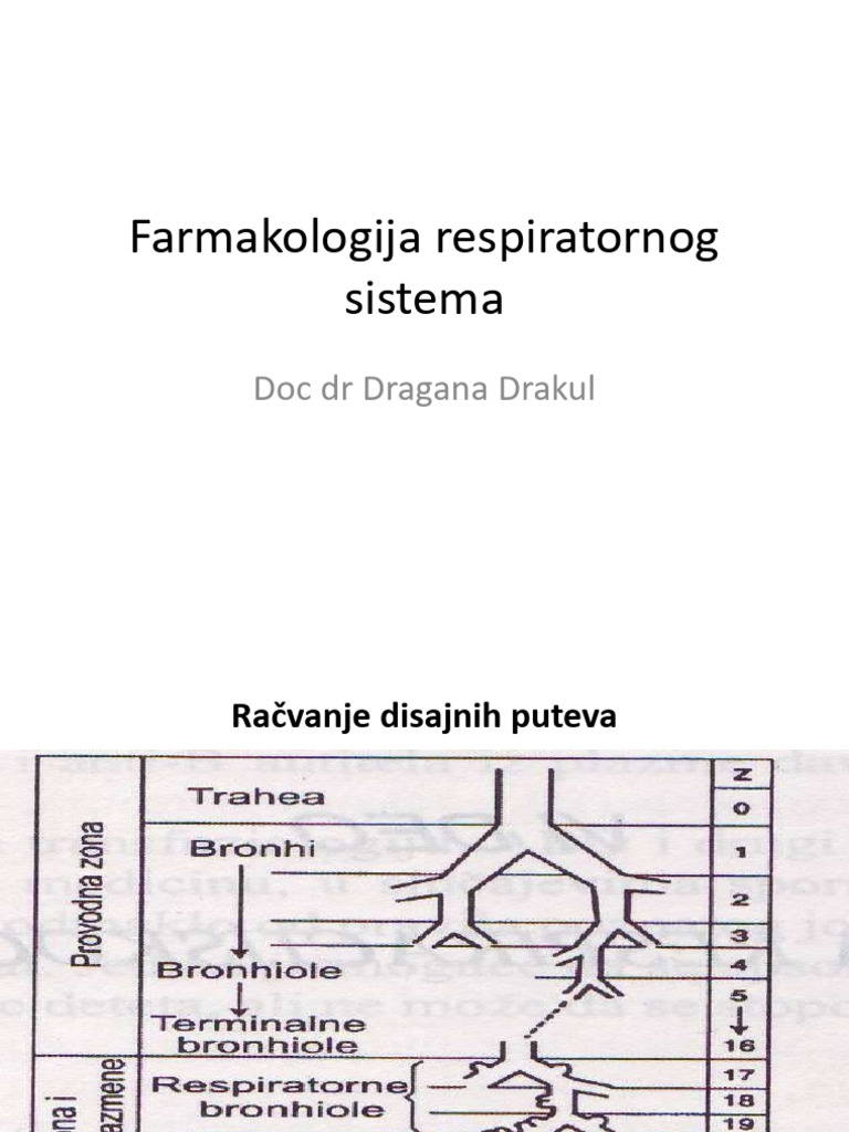 fdgdfg-pdf