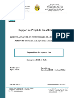 Rapport-Pfe (Réparé)