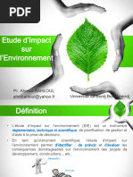 Étude d'Impact Environnemental EIE | PDF | Environnement naturel ...