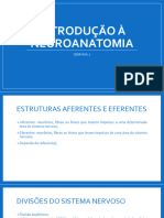 Semana 1 - Neuro