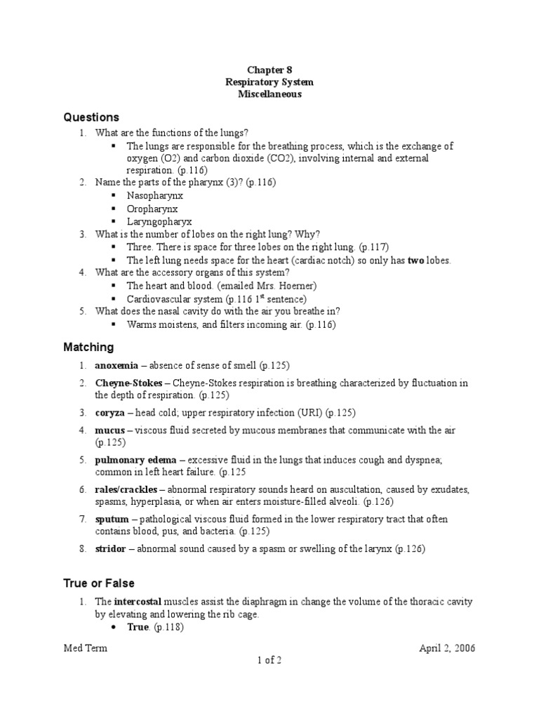 Chapter 8 Miscellaneous | PDF | Respiratory Tract | Lung