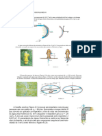 Atividade Mecânica Dos Fluidoos