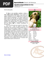 Classificação Taxonômica do Cachorro | PDF | Cães | Taxonomia (Biologia)