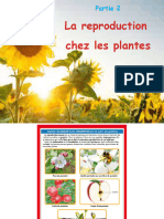 Zoubair Cours TC Fr -1p- Repro Plantes