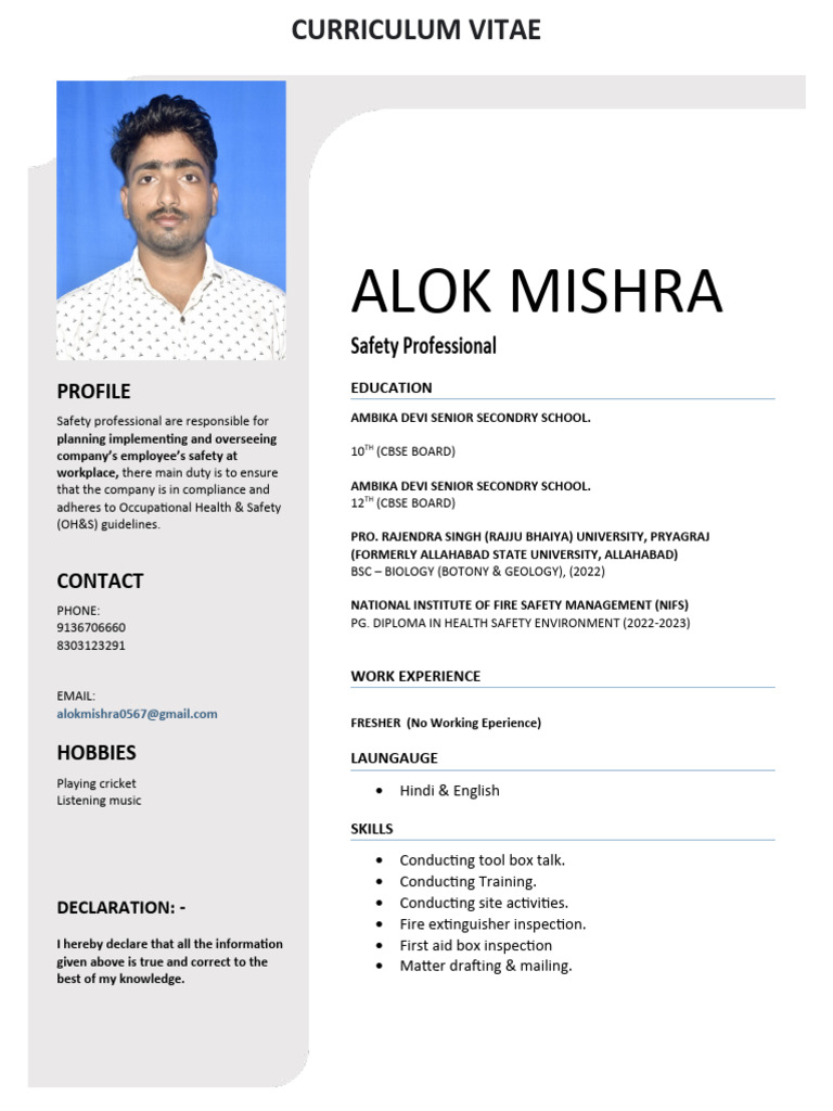 Alok Resume | PDF