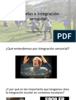 Integracion Sensorial