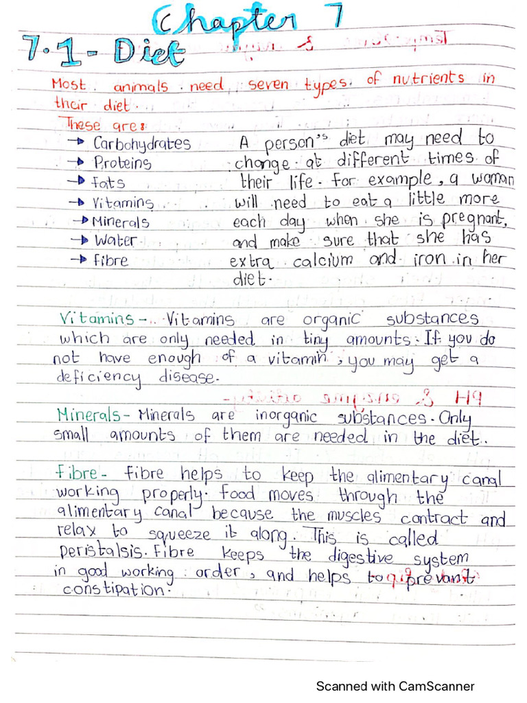 Biology - Chapter 7 Notes | PDF