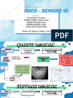 Embriologia - Caso Clinico 12