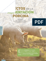 Insectos en Alimentación Porcina - Marzo 2022