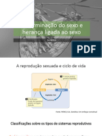 Slides - Determinao Do Sexo e Herana Ligada Ao Sexo