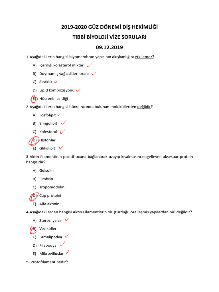 Örnek Sorular | PDF