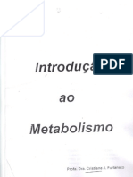Aula 01 - Introdução Ao Metabolismo