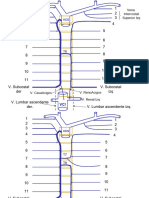 ESQUEMAS ANATOMICOS 2023-I