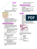 Fisiologia 2, Intestino Delgado