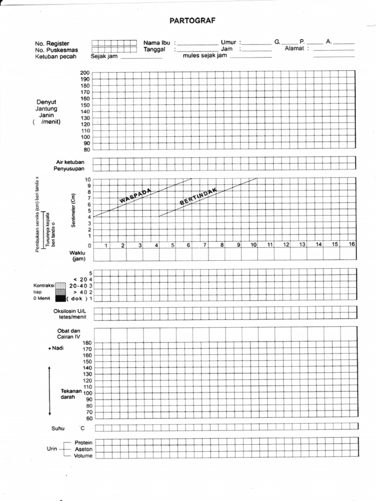PARTOGRAF | PDF