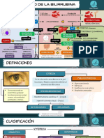 Metabolismo de La Bilirrubina