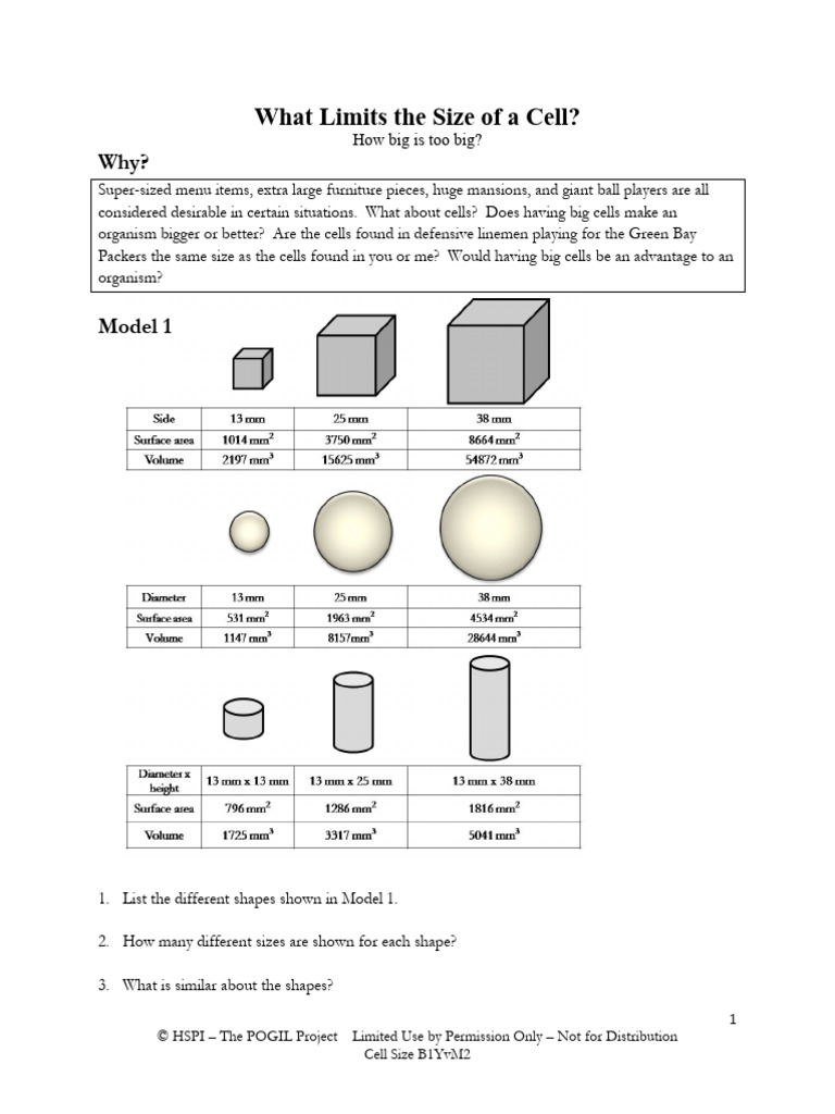 POGIL What Limits The Size of A Cell Student PDF Cell (Biology) Area