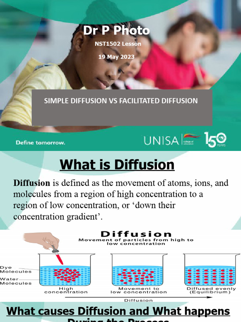 Diffusion: Simple vs Facilitated Explained | PDF | Science & Mathematics