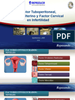 Quinteros D - Factor Tuboperitoneal, Factor Uterino, Factor Cervical (2022)