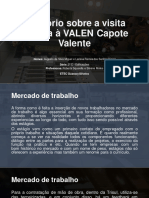 Visita Técnica - VALEN