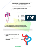 B.2.1 - Ficha de Trabalho - Sistema Excretor