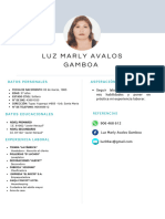 CV Luz Mary Avalos Gamboa