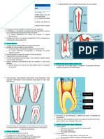 PDF Aula 1 - Anatomia Interna