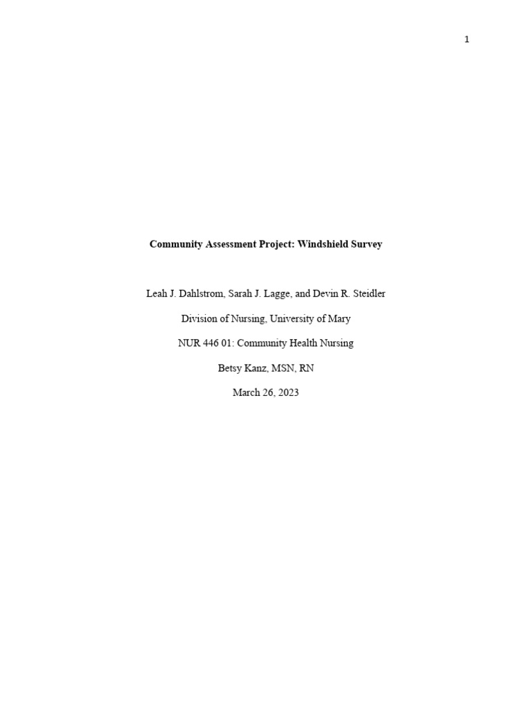 Nur 446 windshield survey project pdf