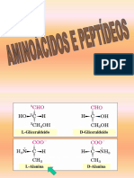 Aula 2 - Aminoácidos e Peptídeos