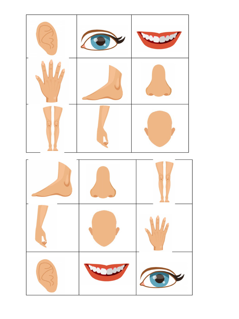 Bingo Body Parts | PDF