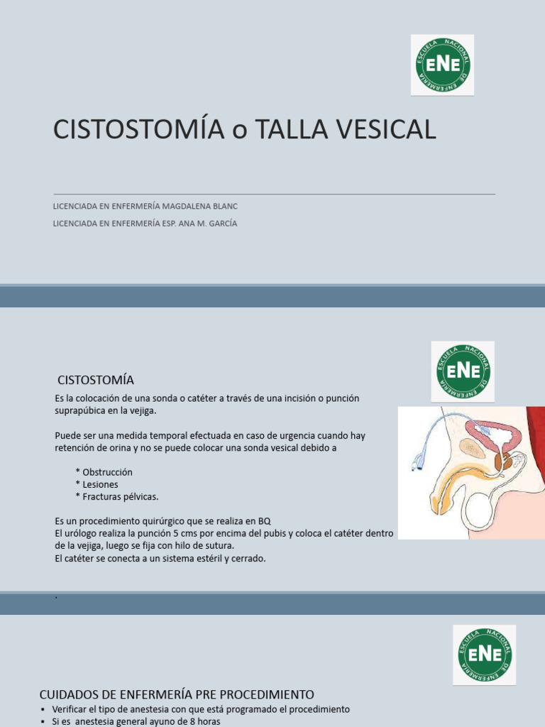 cuidados-en-cistostom-a-y-talla-vesical-pdf-ciencia-y-matem-ticas