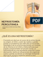 Nefrostomia Percutanea