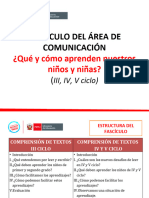 4.PPT Organizador Gráfico Fascículo Comunicación