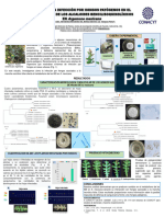 Poster Congreso Biotecnologia