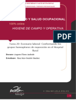 Tarea 20 - Conformando Los Grupos Homogéneos de Exposición en El Hospital Rural - JHON GARRIDO