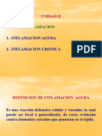 Unidad II Tipos de Inflamacion