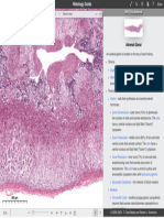 Histology of The Adrenal Glands
