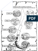 Mapa Pueblos Originarios